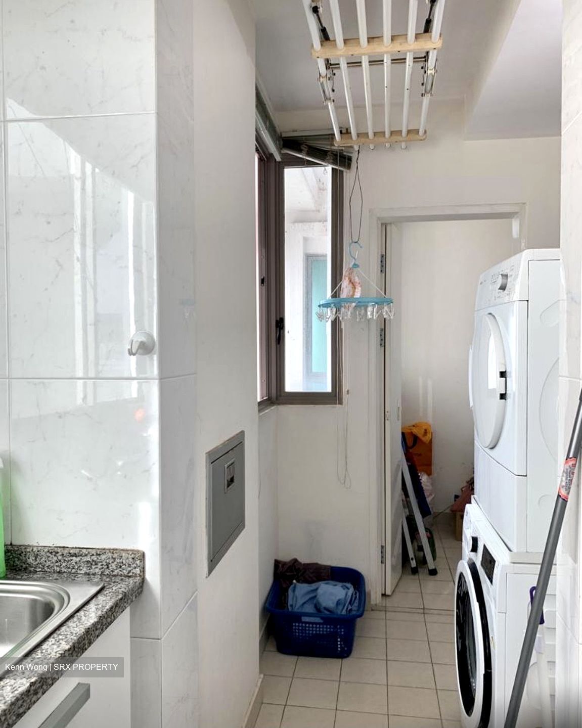 Amaryllis Ville (D11), Condominium #317268961